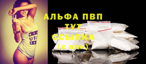 стаф Алексин
