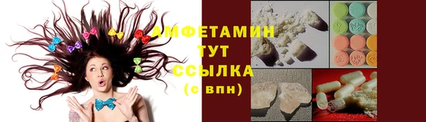 стаф Алексин