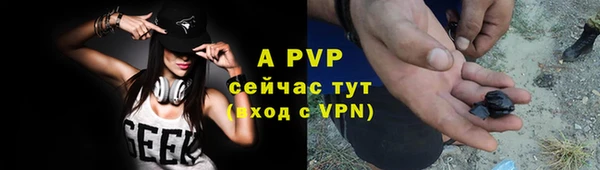 стаф Алексин