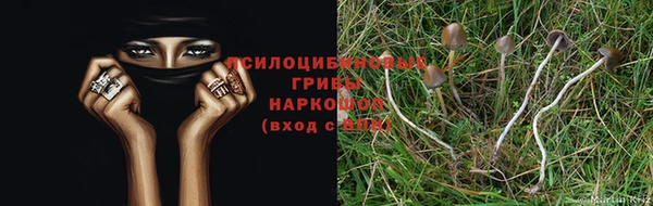 MDMA Алексеевка