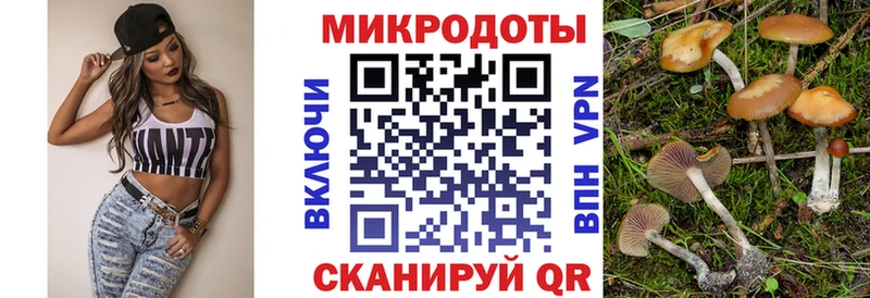 Псилоцибиновые грибы прущие грибы  KRAKEN ТОР  Батайск 